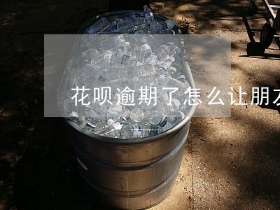 花呗逾期了怎么让朋友帮忙还