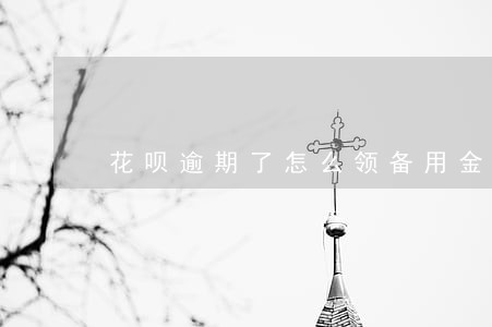 花呗逾期了怎么领备用金 花呗逾期了怎么领备用金