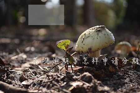 花呗逾期了怎样申请分期