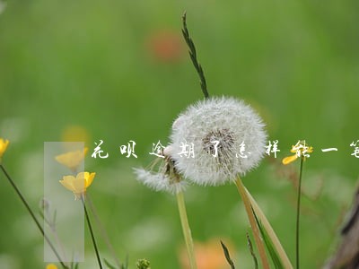 花呗逾期了怎样能一笔一笔还清 花呗逾期了怎样能一笔一笔还清