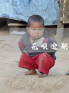 花呗逾期了怎样重新申请开通 花呗逾期了怎样重新申请开通
