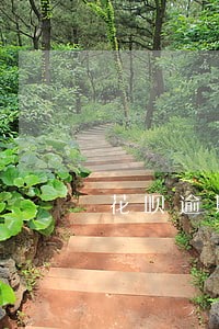花呗逾期了我办的存单没事吧 花呗逾期了我办的存单没事吧