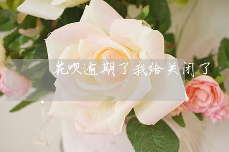 花呗逾期了我给关闭了 花呗逾期了我给关闭了