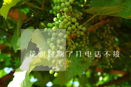 花呗逾期了打电话不接 花呗逾期了打电话不接