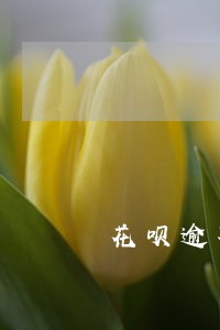 花呗逾期了打电话没钱还怎么办 花呗逾期了打电话没钱还怎么办