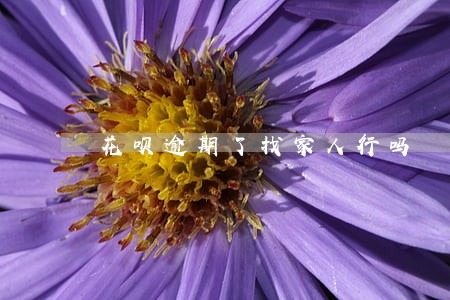 花呗逾期了找家人行吗 花呗逾期了找家人行吗
