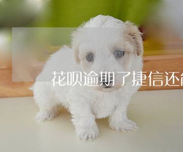 花呗逾期了捷信还能通过吗 花呗逾期了捷信还能通过吗