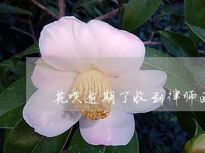 花呗逾期了收到律师函了会怎么样 花呗逾期了收到律师函了会怎么样
