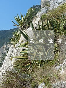 花呗逾期了是不是不能付款 花呗逾期了是不是不能付款