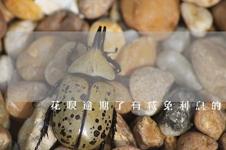 花呗逾期了有减免利息的吗 花呗逾期了有减免利息的吗