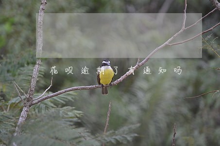 花呗逾期了有通知吗 花呗逾期了有通知吗