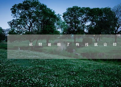 花呗逾期了有钱就会扣吗 花呗逾期了有钱就会扣吗