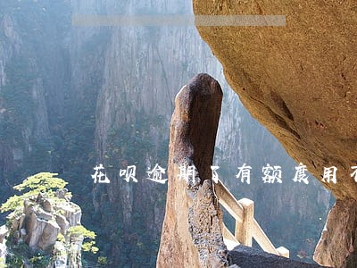 花呗逾期了有额度用不了 花呗逾期了有额度用不了