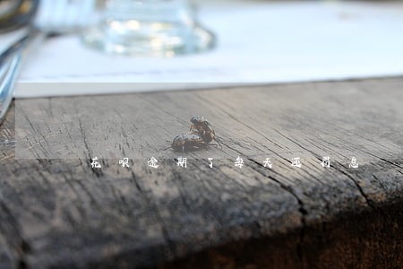 花呗逾期了每天还罚息 花呗逾期了每天还罚息