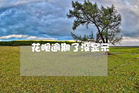 花呗逾期了没显示 花呗逾期了没显示
