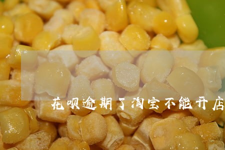 花呗逾期了淘宝不能开店 花呗逾期了淘宝不能开店