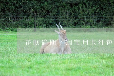 花呗逾期了淘宝月卡红包还能用吗 花呗逾期了淘宝月卡红包还能用吗