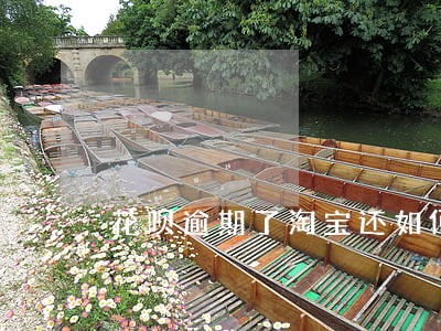 花呗逾期了淘宝还如何支付 花呗逾期了淘宝还如何支付