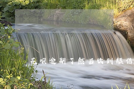 花呗逾期了然后收到短信说开庭 花呗逾期了然后收到短信说开庭