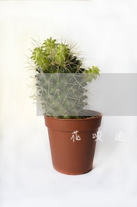 花呗逾期了爆通讯录不 花呗逾期了爆通讯录不