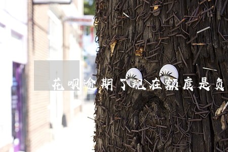 花呗逾期了现在额度是负数 花呗逾期了现在额度是负数