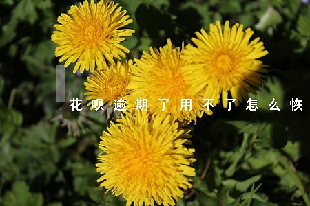 花呗逾期了用不了怎么恢复 花呗逾期了用不了怎么恢复