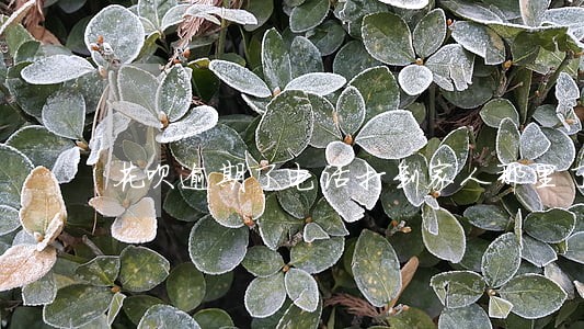 花呗逾期了电话打到家人那里了 花呗逾期了电话打到家人那里了