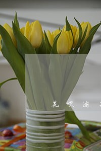 花呗逾期了算黑户吗 花呗逾期了算黑户吗