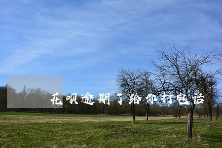 花呗逾期了给你打电话 花呗逾期了给你打电话