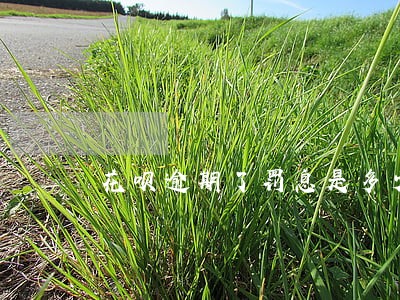 花呗逾期了罚息是多少 花呗逾期了罚息是多少