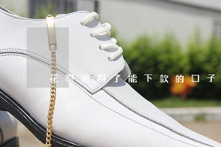 花呗逾期了能下款的口子