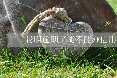 花呗逾期了能不能办信用卡 花呗逾期了能不能办信用卡