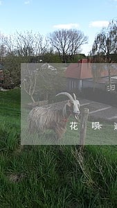 花呗逾期了能不能办信用卡了 花呗逾期了能不能办信用卡了
