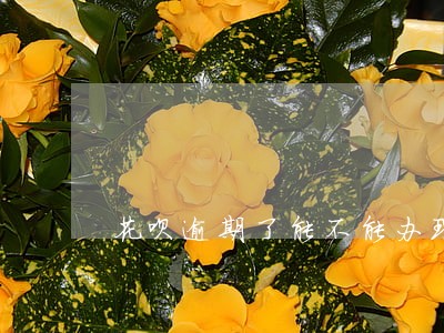 花呗逾期了能不能办理信用卡 花呗逾期了能不能办理信用卡