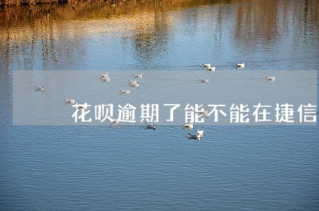 花呗逾期了能不能在捷信借钱 花呗逾期了能不能在捷信借钱