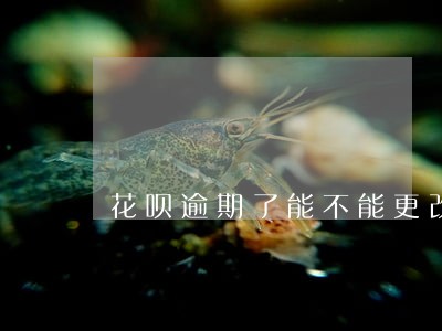 花呗逾期了能不能更改手机号码 花呗逾期了能不能更改手机号码