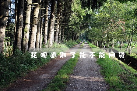 花呗逾期了能不能网贷 花呗逾期了能不能网贷