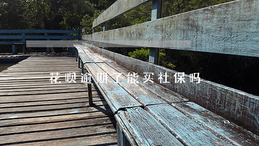花呗逾期了能买社保吗 花呗逾期了能买社保吗