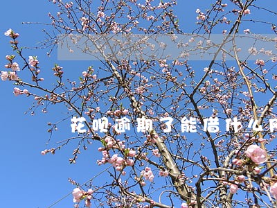 花呗逾期了能借什么网贷