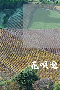 花呗逾期了能分期买车吗 花呗逾期了能分期买车吗