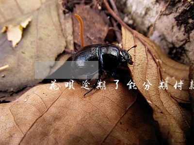 花呗逾期了能分期付款 花呗逾期了能分期付款