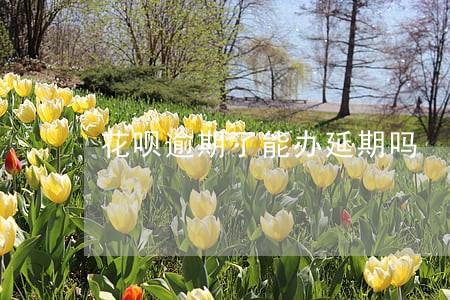 花呗逾期了能办延期吗 花呗逾期了能办延期吗