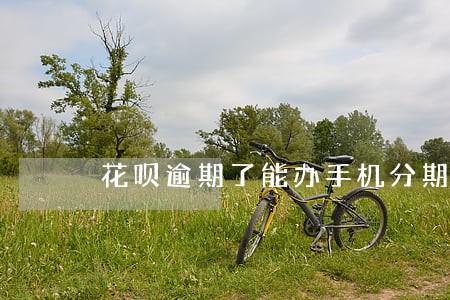 花呗逾期了能办手机分期吗 花呗逾期了能办手机分期吗