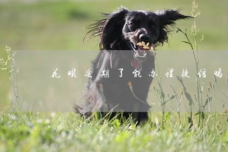 花呗逾期了能办理捷信吗