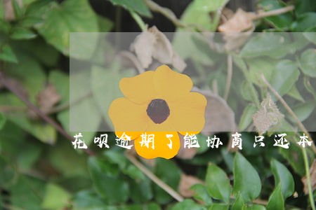 花呗逾期了能协商只还本金么 花呗逾期了能协商只还本金么