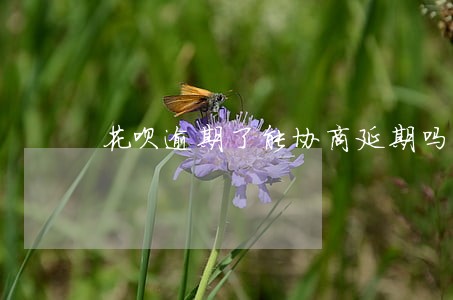花呗逾期了能协商延期吗 花呗逾期了能协商延期吗