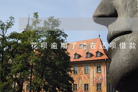 花呗逾期了能在还呗借款吗 花呗逾期了能在还呗借款吗