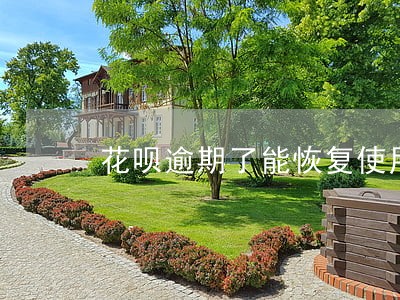 花呗逾期了能恢复使用吗 花呗逾期了能恢复使用吗