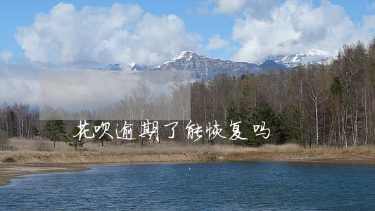 花呗逾期了能恢复吗