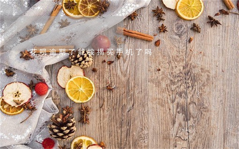 花呗逾期了能按揭买手机了吗